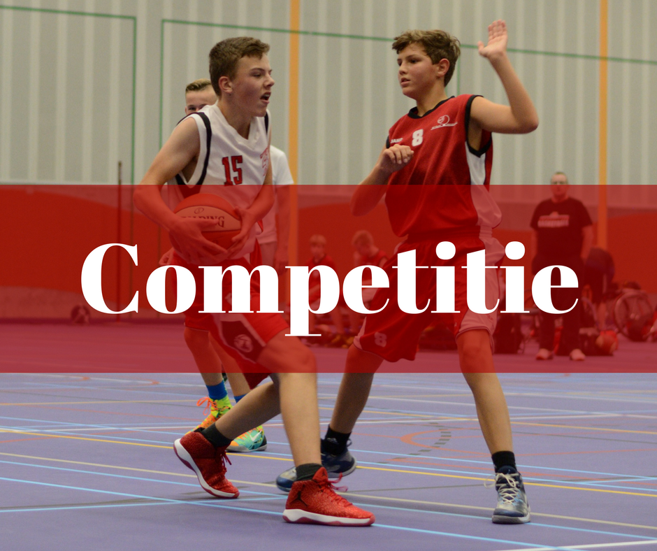 HBV Hornets - Competitie